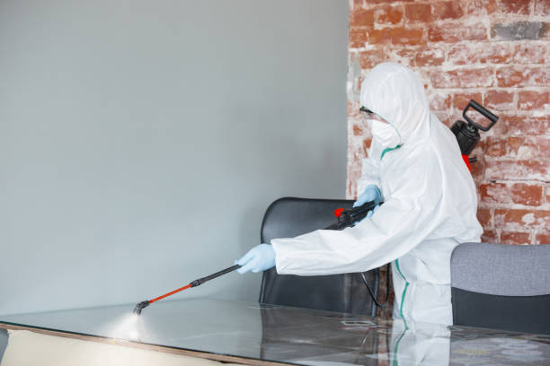 Mold Remediation for Rental Properties in Blair, NE